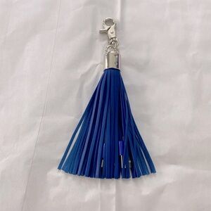 NWOT Tassel Keychain Charger